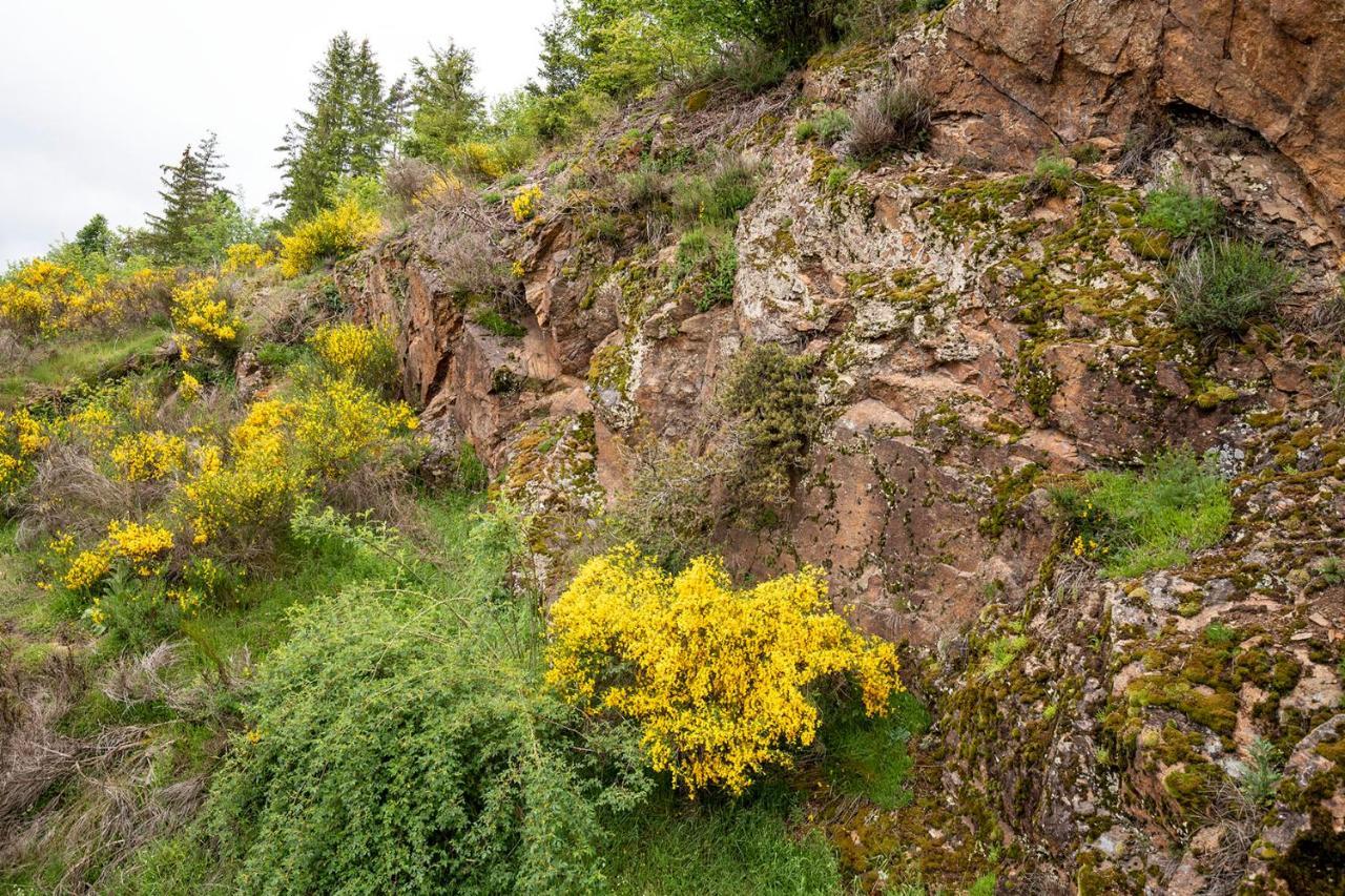 Viverols Moulin Des Comtes - Chambre Les Rochers المظهر الخارجي الصورة